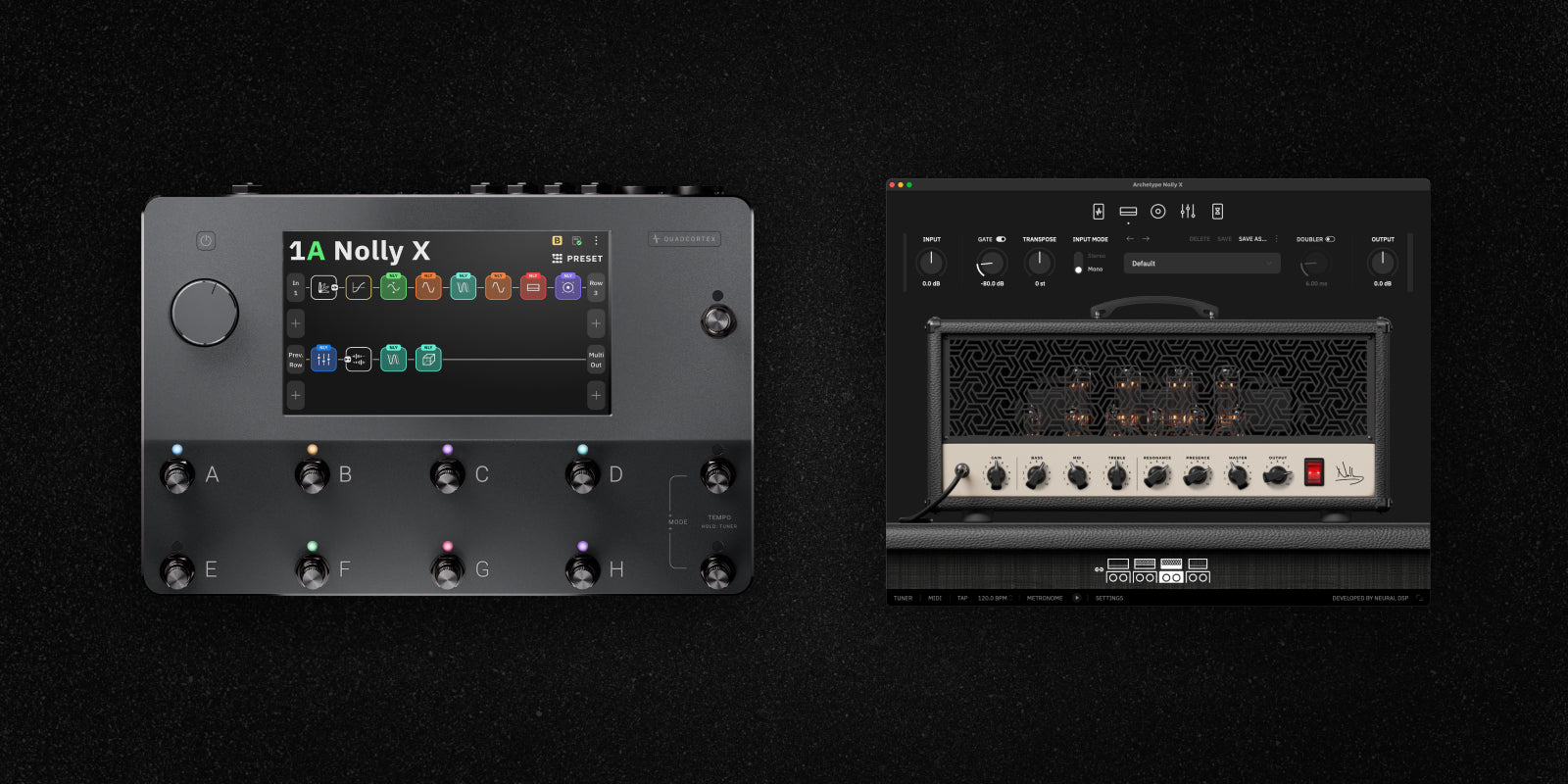 Quad Cortex + Archetype: Nolly X | 完璧なミックス対応プロギア